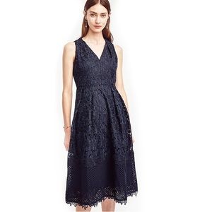 Ann Taylor Navy Cocktail Dress lace fit and flair